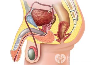 Что колят под яички при лечении простатита
