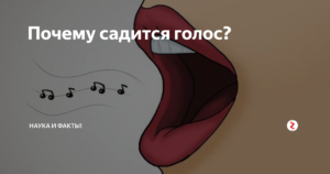 Пропадает голос к вечеру