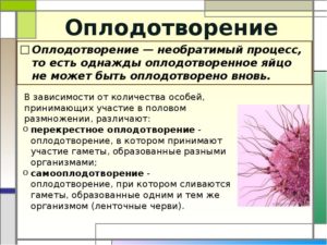 Перекрестное оплодотворение. Вариант нормы?
