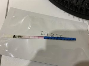 Задержка месячных. Овуляции не было