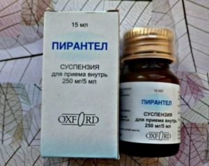 Пирантел на ранних сроках