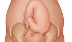 Болит лобковая кость 38 недель