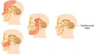 Боль в переносице при наклоне головы