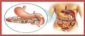 Боли в поджелудочной на фоне приема жирной пищи