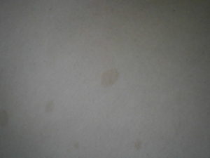 Не могут понять что это за пятна