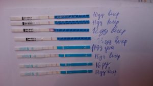 Тест на овуляцию 2 полоски