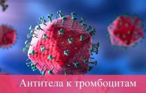 Антитела к тромбоцитам