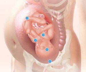 Вздрагивания ребенка в утробе