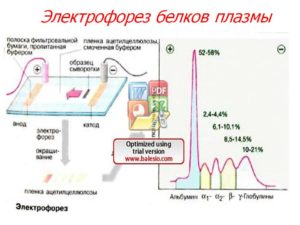 Электрофорез и плохой анализ крови