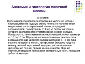 Расшифровка гистологии после резекции молочной железы