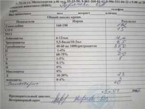 Общий анализ крови после диареи