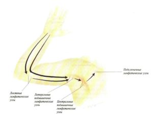 Локтевой лимфоузел?