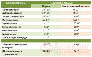 Lactobacillus sp. ниже нормы