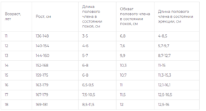 Каким должен быть член в 14 лет?