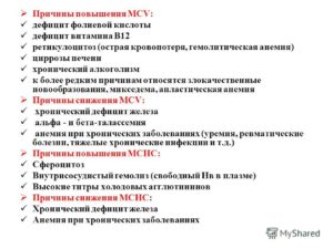 Повышенный уровень B12 в крови