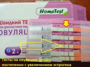 Возможна ли беременность беременность после отмены Джес+