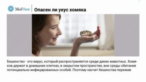 Бешенство от укуса хомяка