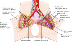 Прощупывается лимфоузел в паху