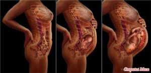 Вздрагивания ребенка в утробе