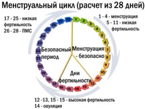 Месячные начались на 25 день цикла