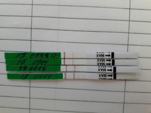 Тест на овуляцию 2 полоски