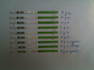 Задержка месячных. Овуляции не было