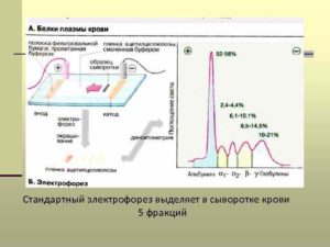 Электрофорез и плохой анализ крови