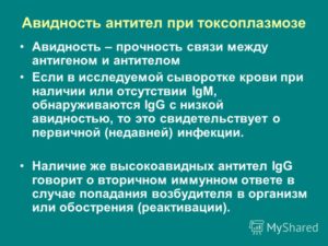 Антитела к токсоплазмозу, авидность