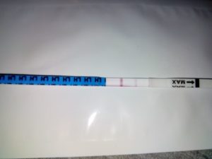 Тест на овуляцию 2 полоски