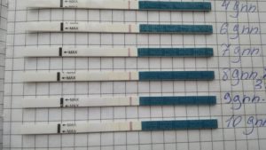 10 ДПП в криопротоколе