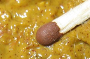 Черные крупинки в кале