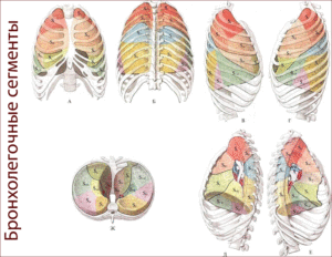 Очаг в сегменте S10 левого легкого