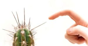 Укололась кактусом