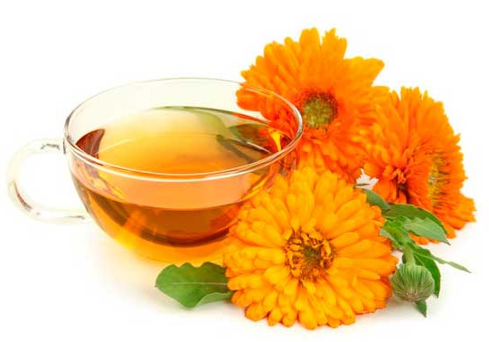 Настой календулы от ожогов