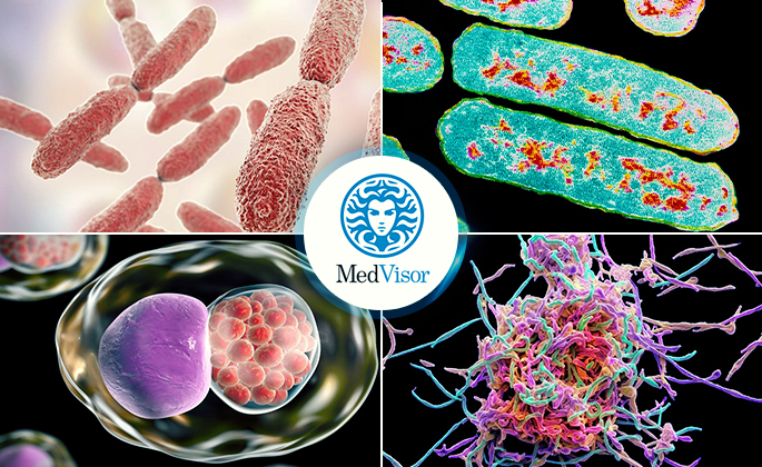 Возбудители острого бронхита Пневмония лечение и бронхита у