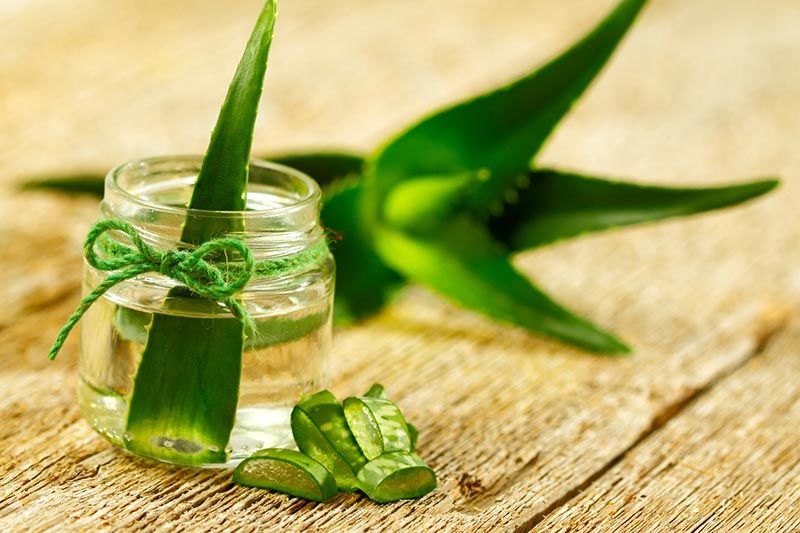 Настойка алоэ на Кагоре