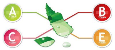 Состав алоэ