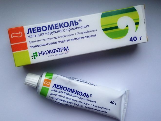 Левомеколь при отите у собаки Левомеколь при отите у собаки