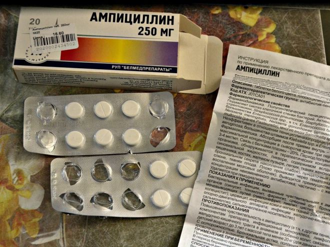 Ампициллин от гнойного отита у собак Ампициллин от гнойного отита у собак