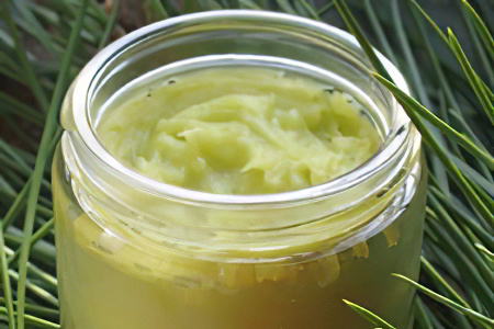 Мазь из еловой смолы Мазь из еловой смолы