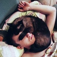 Может ли кот заразиться от человека пневмонией