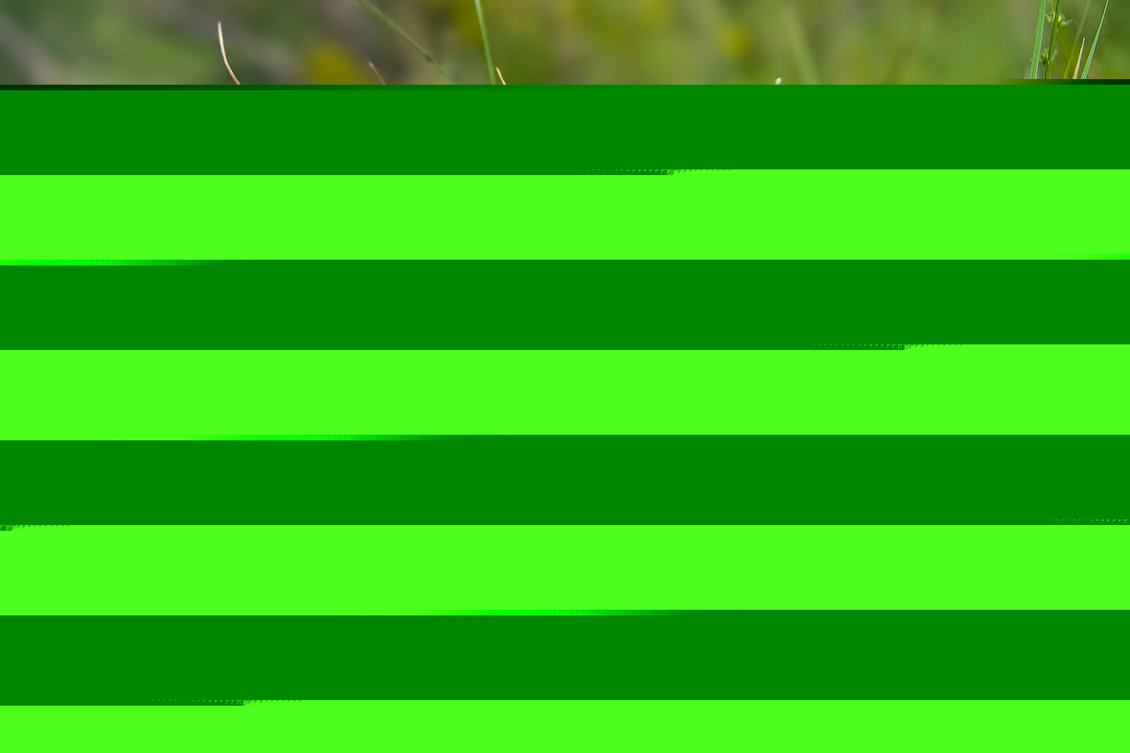 Что делать при солнечном ожоге лица у ребенка Что делать при солнечном ожоге лица у ребенка thumbnail