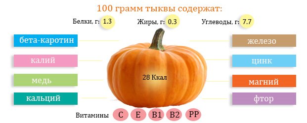 Полезный состав тыквы Полезный состав тыквы