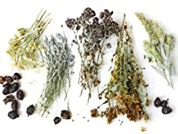 Мазь от пролежней с пчелиным воском