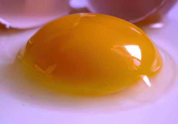 Яичный желток Яичный желток